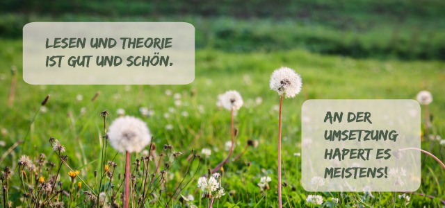 Theorie und Umsetzung