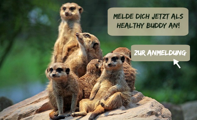 meld dich an